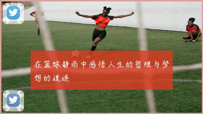 在篮球静雨中感悟人生的哲理与梦想的追逐