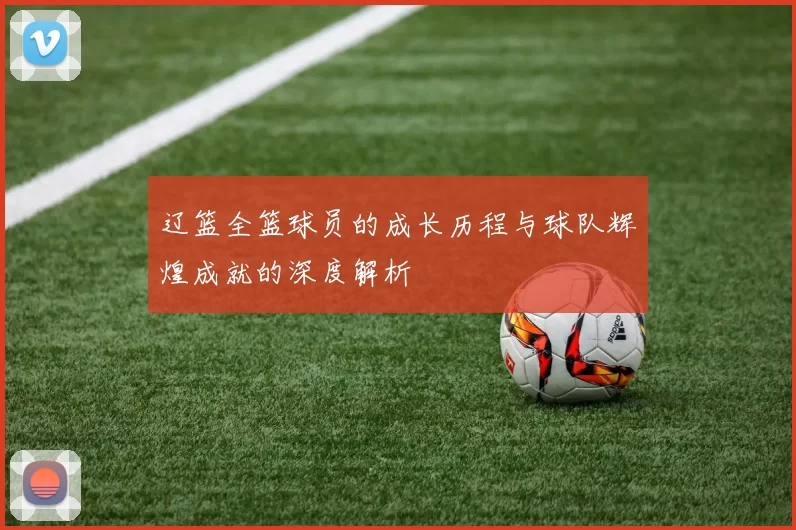 辽篮全篮球员的成长历程与球队辉煌成就的深度解析